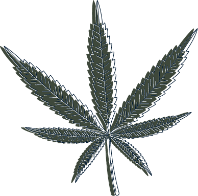 Hanf Icon - CBD Shop